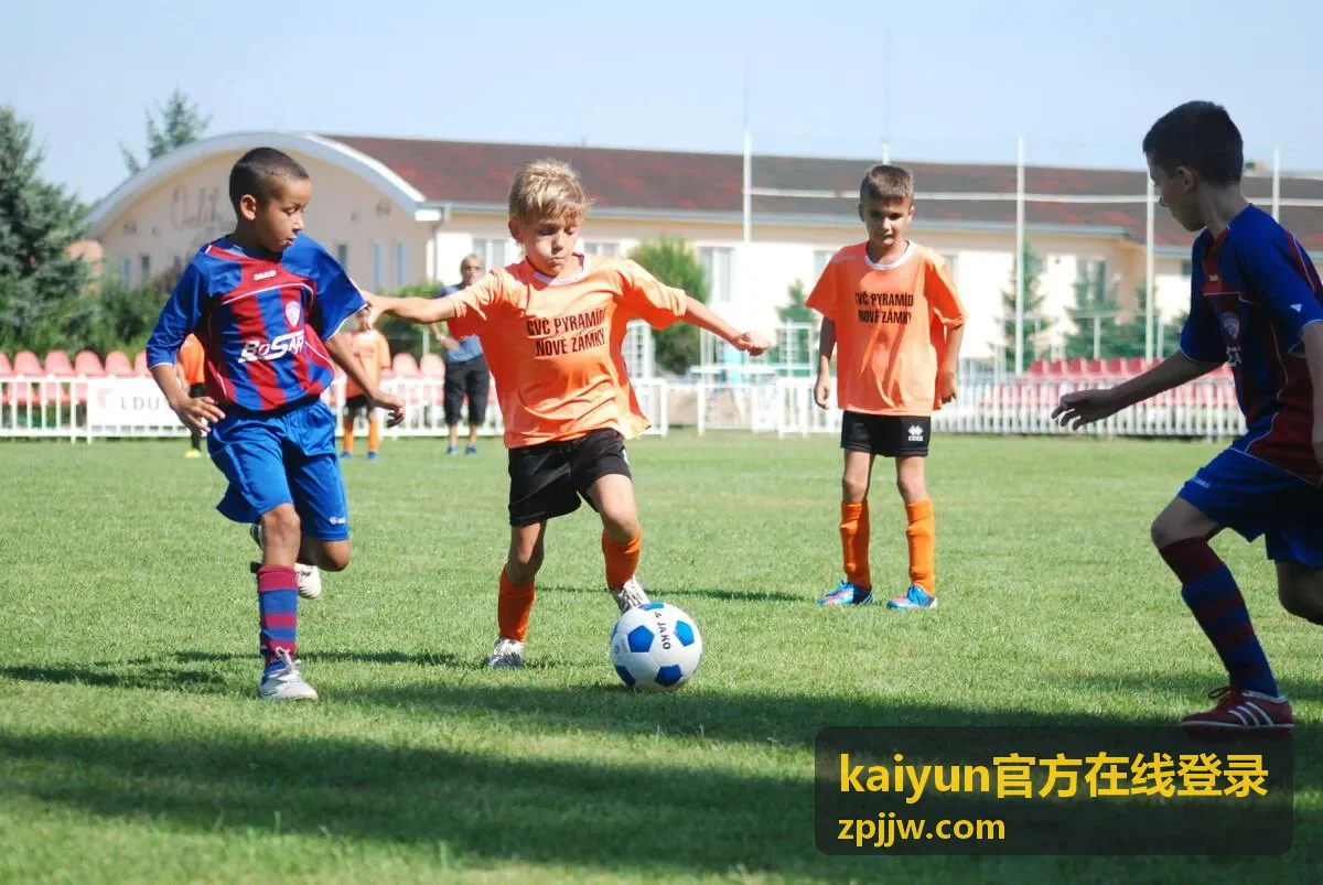 kaiyun官方在线登录 账号填写与短信验证操作示意