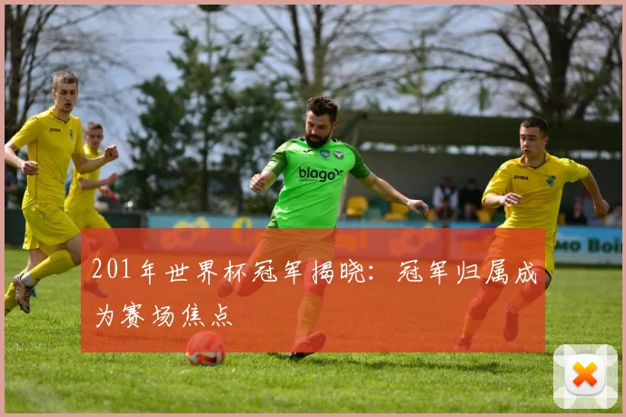 201年世界杯冠军揭晓：冠军归属成为赛场焦点