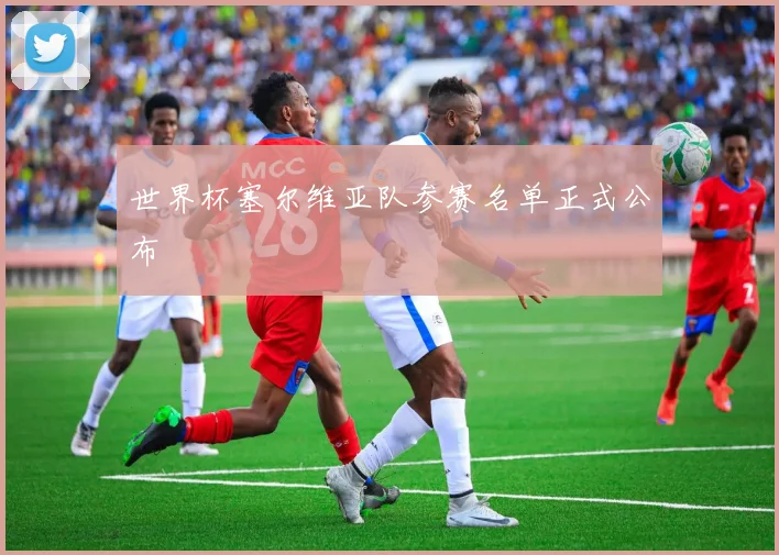 世界杯塞尔维亚队参赛名单正式公布