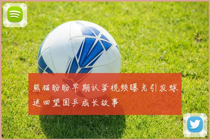 熊猫盼盼早期认爹视频曝光引发球迷回望国乒成长故事